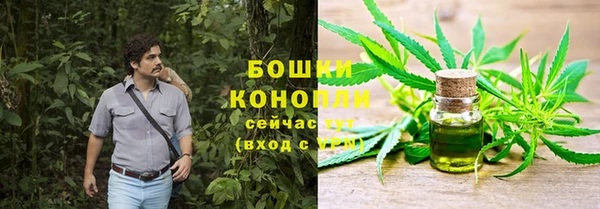 гашик Верея