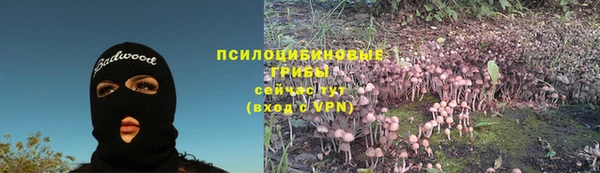 PSILOCYBIN Инсар