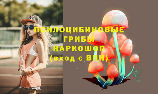 шишки Михайлов