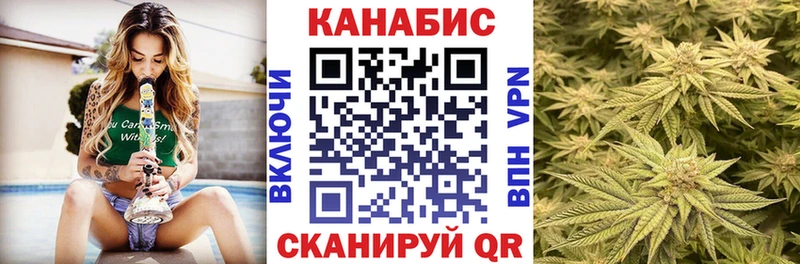 shop Telegram  кракен ONION  Дрезна  Конопля семена 
